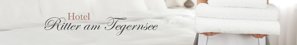 Main banner logo