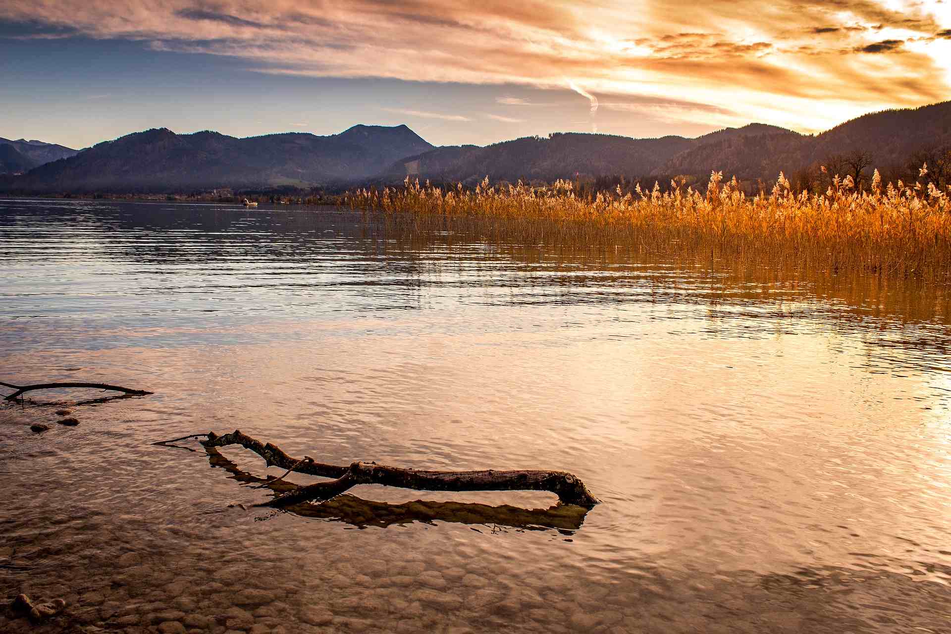 Ein Bild vom Tegernsee