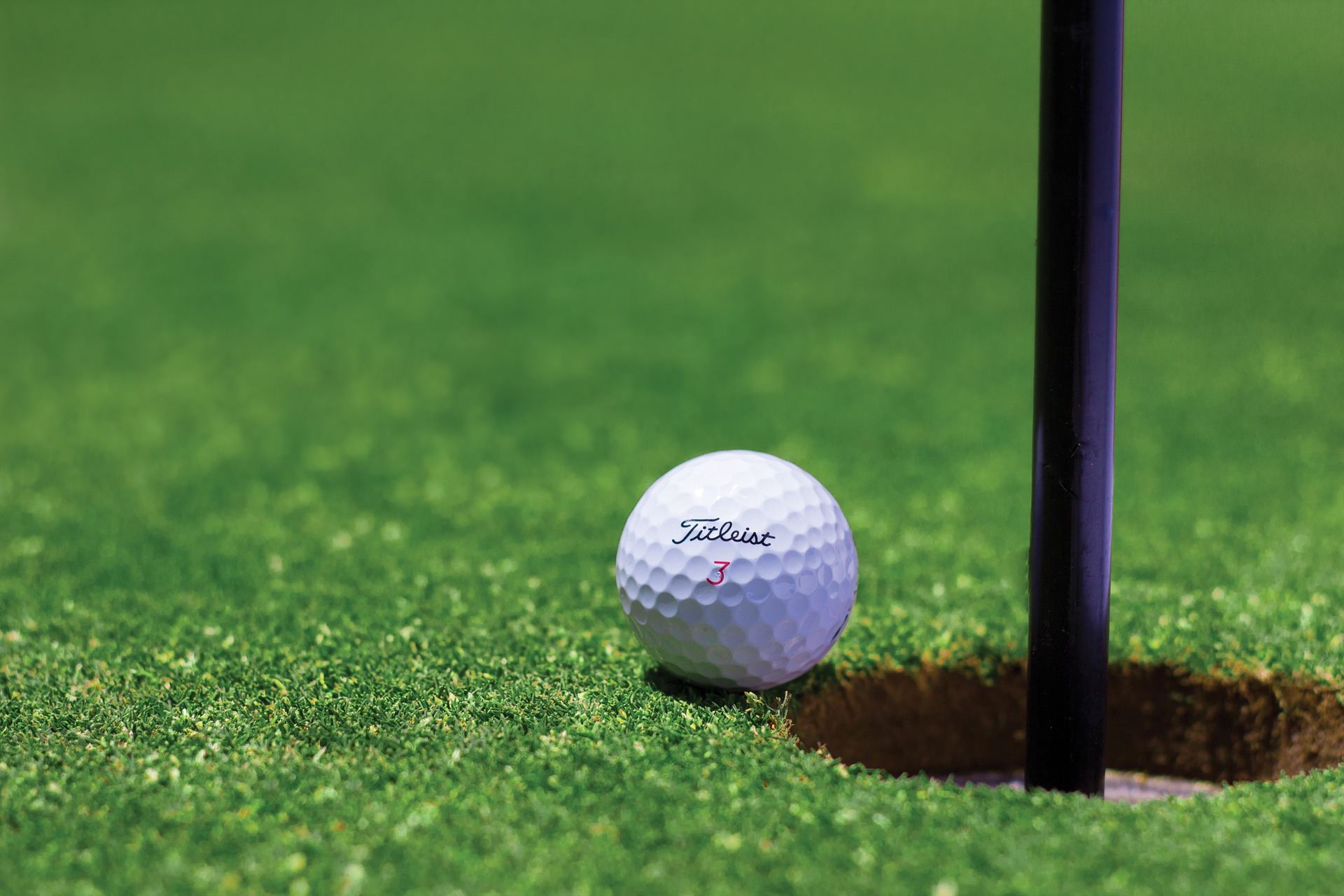 Ein Golfball liegt auf der Wiese